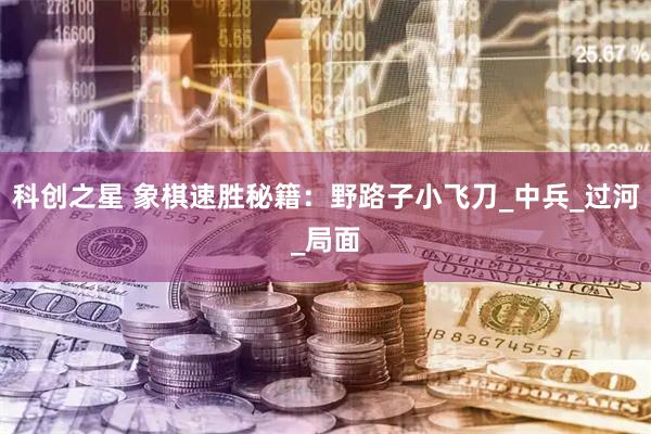 科创之星 象棋速胜秘籍：野路子小飞刀_中兵_过河_局面