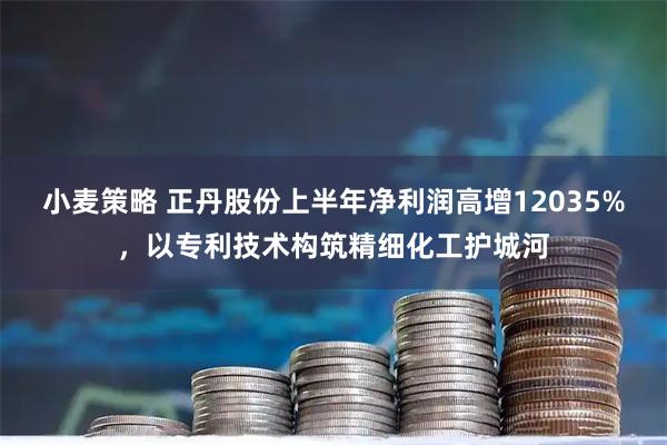 小麦策略 正丹股份上半年净利润高增12035%，以专利技术构筑精细化工护城河